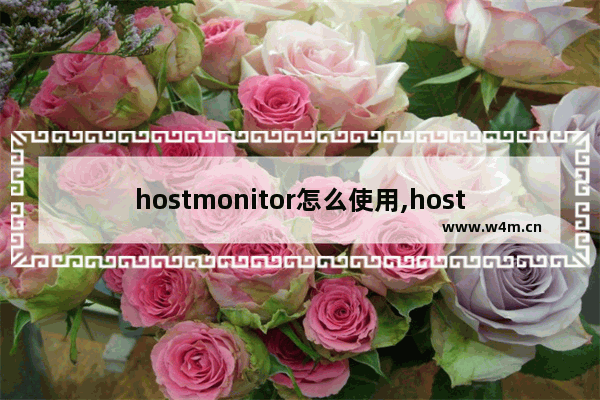 hostmonitor怎么使用,hostmonitor如何使用