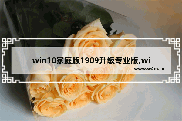 win10家庭版1909升级专业版,win10最新版本1909下载