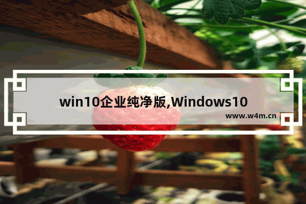 win10企业纯净版,Windows1032位纯净版下载