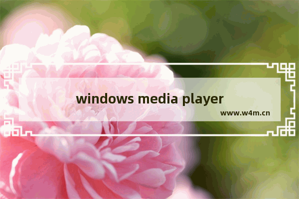 windows media player播放文件遇到问题,windows media player该文件已在使用中