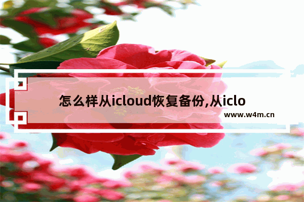 怎么样从icloud恢复备份,从icloud恢复备份