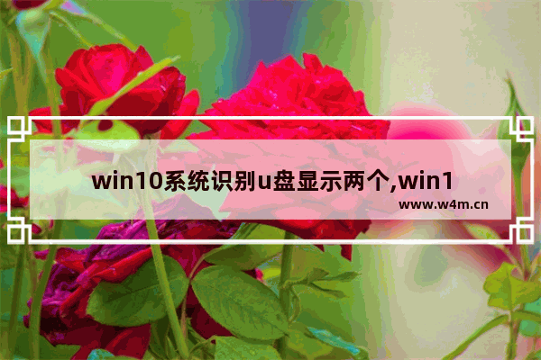 win10系统识别u盘显示两个,win10双硬盘盘符交错