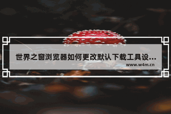 世界之窗浏览器如何更改默认下载工具设置,怎么下载世界之窗浏览器