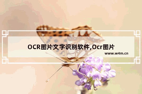 OCR图片文字识别软件,Ocr图片