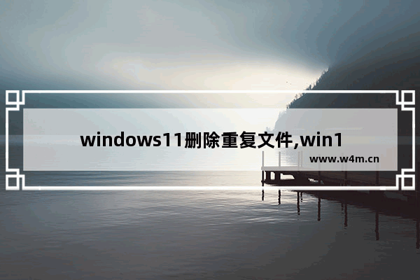 windows11删除重复文件,win10重复文件清理