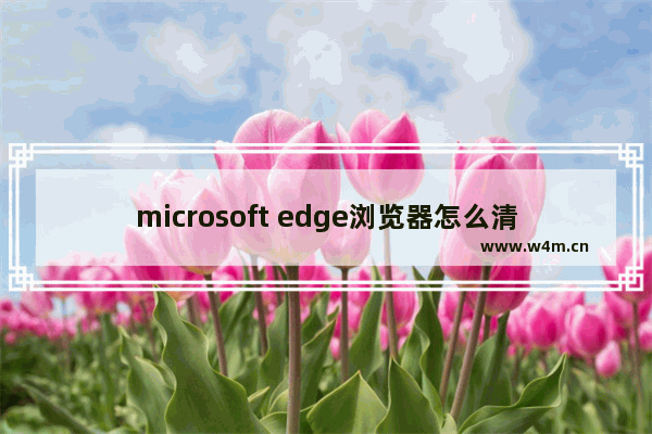 microsoft edge浏览器怎么清理缓存,edge浏览器缓存清理