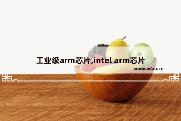 工业级arm芯片,intel arm芯片