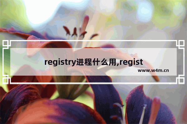 registry进程什么用,registry怎么关闭