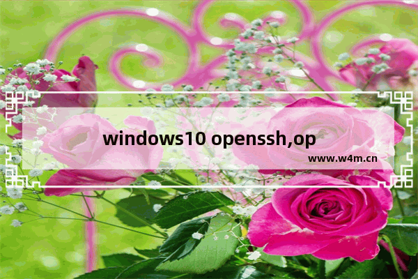 windows10 openssh,openssl win10