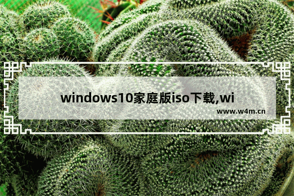 windows10家庭版iso下载,win10家庭版镜像官方下载