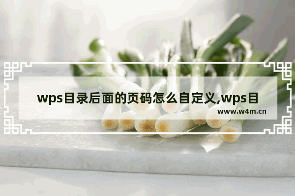 wps目录后面的页码怎么自定义,wps目录页码省略号