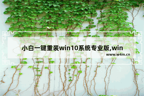 小白一键重装win10系统专业版,win10如何一键重装