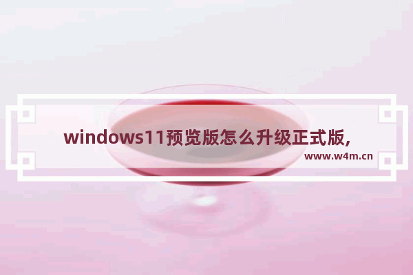 windows11预览版怎么升级正式版,win10怎么升级win11预览版