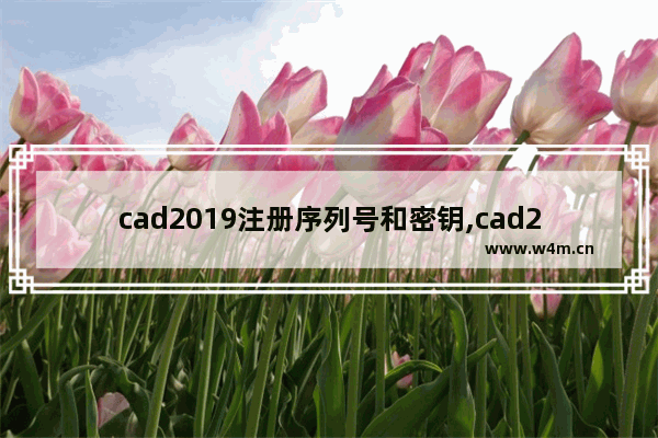 cad2019注册序列号和密钥,cad2018注册序列号和密钥