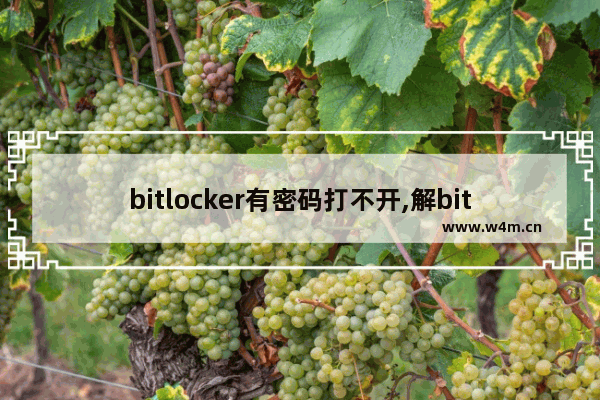 bitlocker有密码打不开,解bitlocker 忘记密码