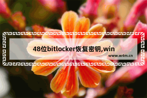 48位bitlocker恢复密钥,win8 bitlocker解锁