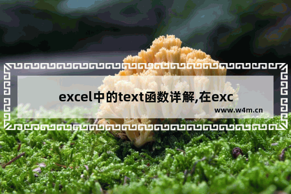 excel中的text函数详解,在excel中text的用法