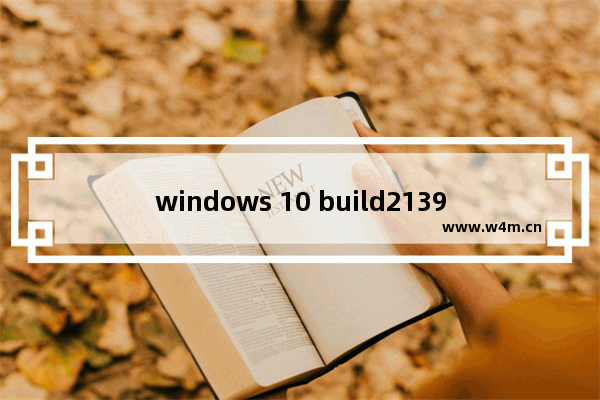 windows 10 build21390,