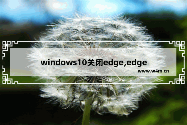 windows10关闭edge,edge浏览器黑暗模式