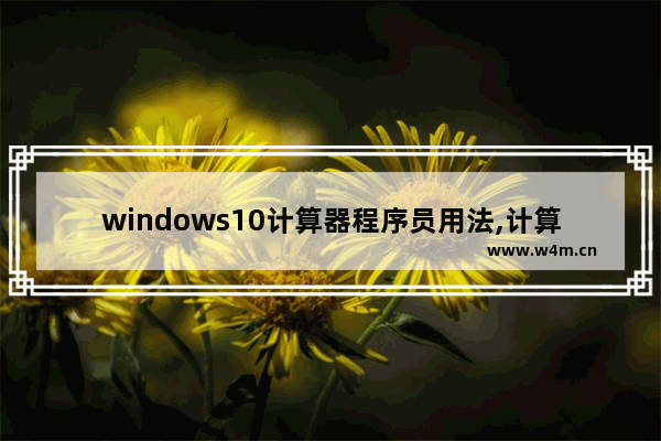 windows10计算器程序员用法,计算器的程序员模式