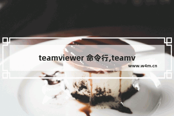 teamviewer 命令行,teamviewer怎么远程控制电脑