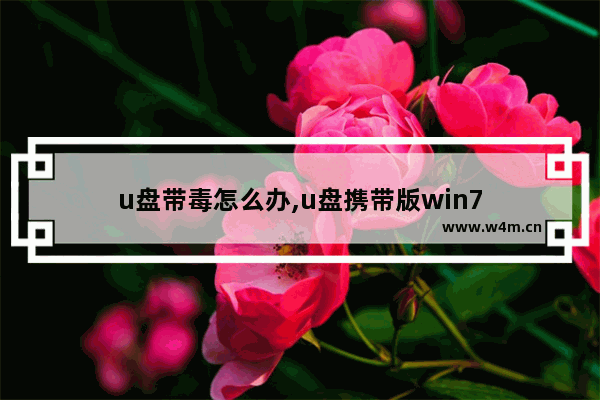 u盘带毒怎么办,u盘携带版win7