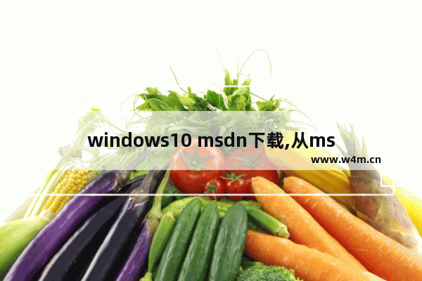 windows10 msdn下载,从msdn上下载win10并安装的教程