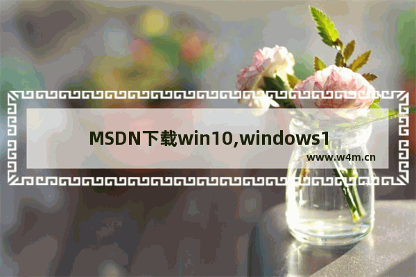 MSDN下载win10,windows10 msdn下载