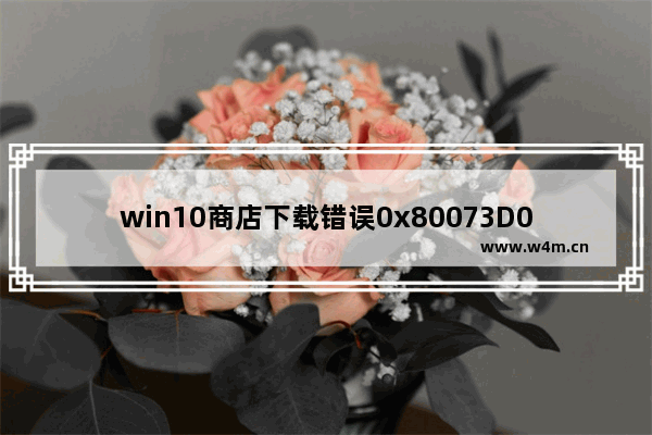 win10商店下载错误0x80073D0A,win10商店错误代码0xc8000422