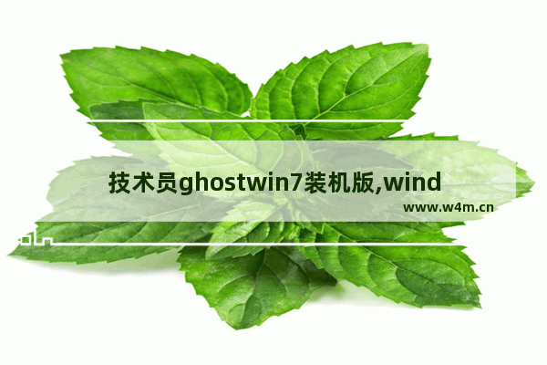 技术员ghostwin7装机版,windows7 ghost 安装