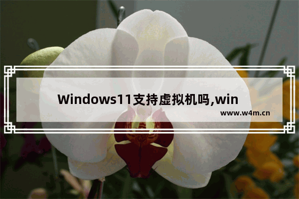 Windows11支持虚拟机吗,win 10虚拟桌面