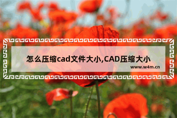 怎么压缩cad文件大小,CAD压缩大小