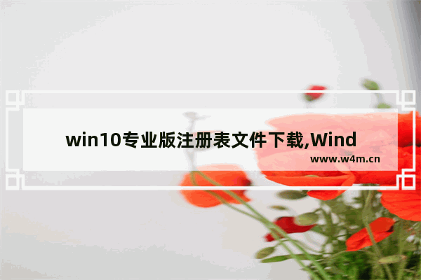 win10专业版注册表文件下载,Windows注册表可以通过什么备份