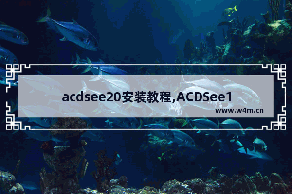 acdsee20安装教程,ACDSee10.0