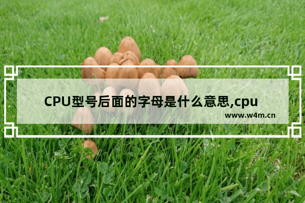 CPU型号后面的字母是什么意思,cpu 后缀带字母的区别