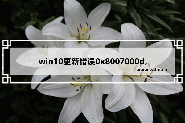 win10更新错误0x8007000d,win10更新错误0x8007042c