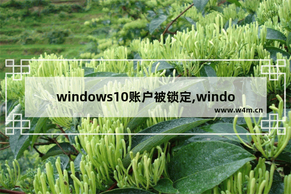 windows10账户被锁定,windows系统账户被锁定