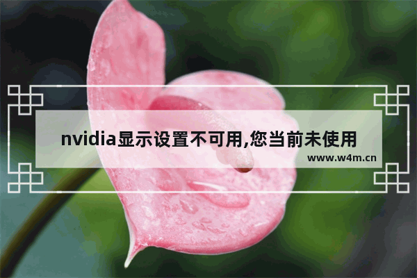 nvidia显示设置不可用,您当前未使用连接到win10,电脑显示未使用连接到NVIDIA怎么办