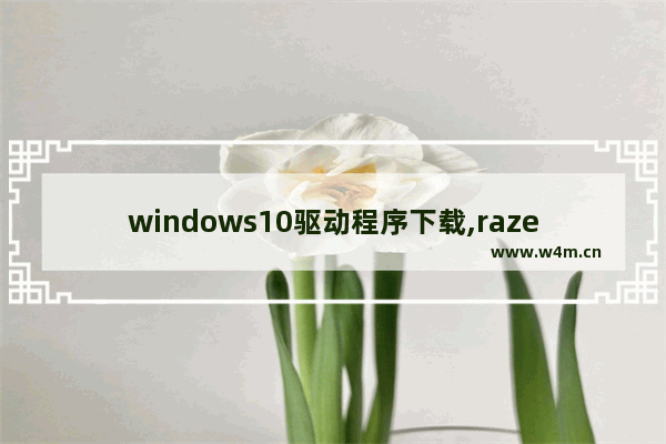 windows10驱动程序下载,razer官网 驱动下载