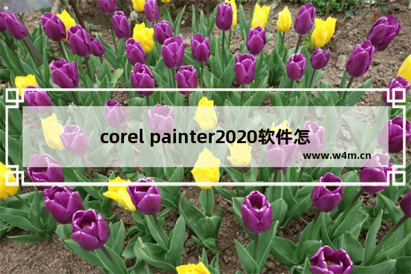 corel painter2020软件怎么换成中文,corel painter2020教程