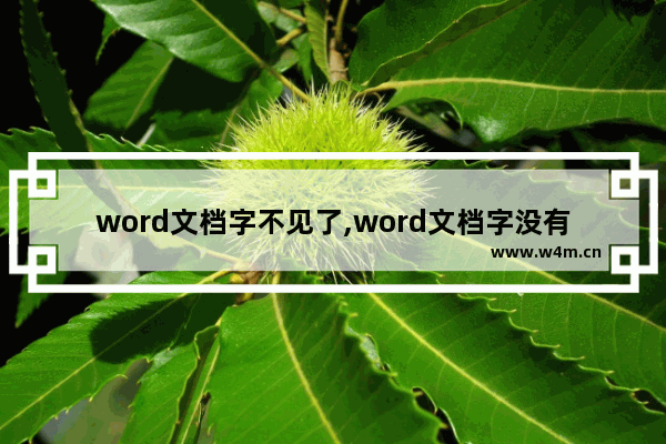 word文档字不见了,word文档字没有了