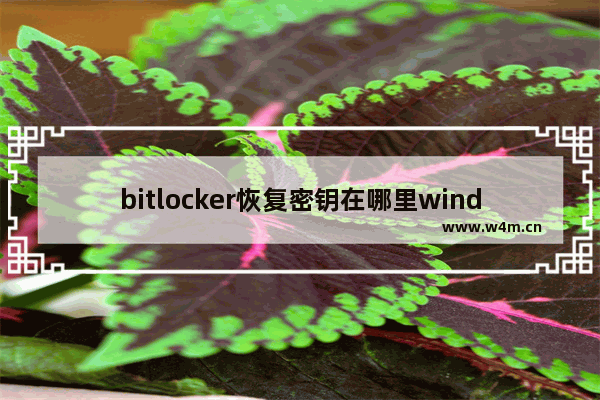 bitlocker恢复密钥在哪里window10,win10bitlocker恢复密钥怎么用