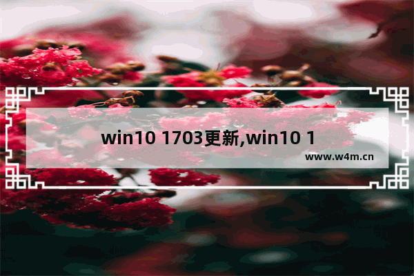 win10 1703更新,win10 17763.316