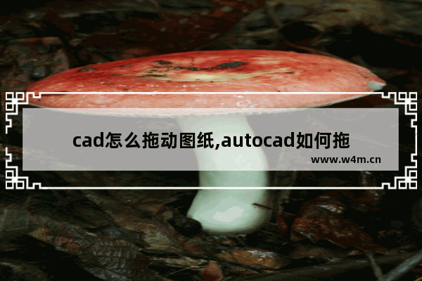 cad怎么拖动图纸,autocad如何拖动图形