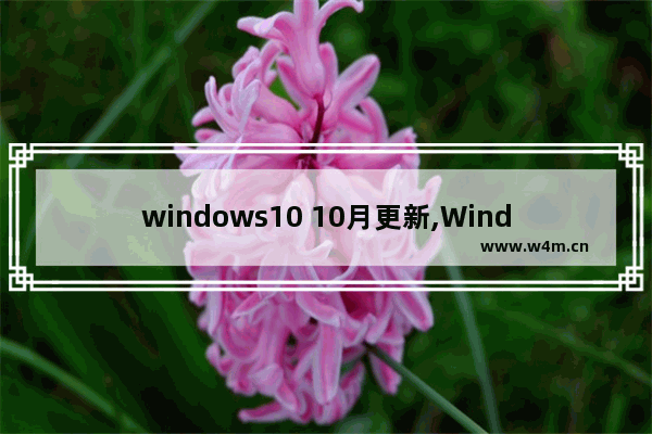 windows10 10月更新,Windows 10 更新