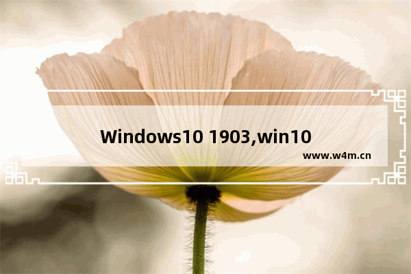 Windows10 1903,win10 1809 1903 1909