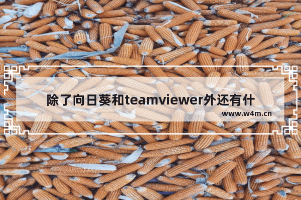 除了向日葵和teamviewer外还有什么远程软件,向日葵好用还是teamviewer好用