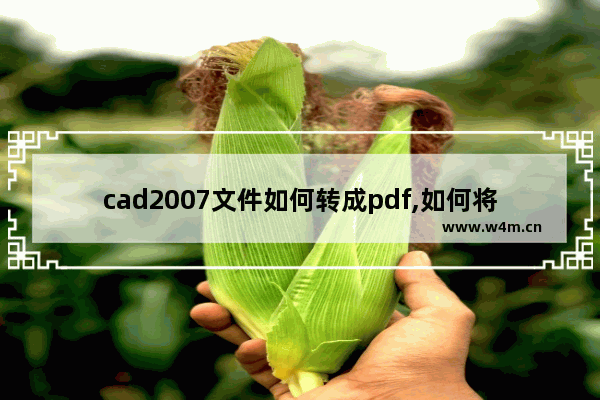 cad2007文件如何转成pdf,如何将pdf格式的文件转化为cad查看