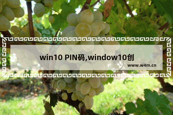 win10 PIN码,window10创建pin码