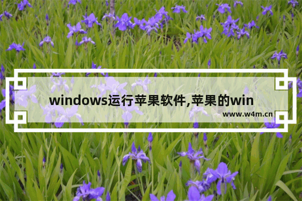 windows运行苹果软件,苹果的windows系统